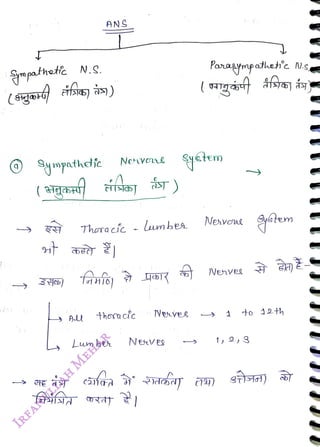 Sympathet N.S.
<br>
Sympathcic
<br>
(Tgaort
<br>
3Yeb)
<br>
ANS
<br>
Nevene
<br>
T)
<br>
Thoracíc - lumbea
<br>
Lwm be
<br>
thora cfc Neves
<br>
Nesves
<br>
Porasynpohet'e Ns,
<br>
Newena sstem
<br>
Nehves
<br>
to 12 th
<br>
1, 2,g
<br>
 