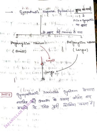 .
<br>
Sgmpothatie Nevu yeler' g
<br>
Pngngan
<br>
("( Snal)
<br>
(1.
<br>
NOTE) ympath
<br>
mpathate Neilve.
<br>
.
<br>
Neveg
<br>
)
<br>
ACh+Sympathin
<br>
neon
<br>
(Lanpa
<br>
aifa
<br>
 