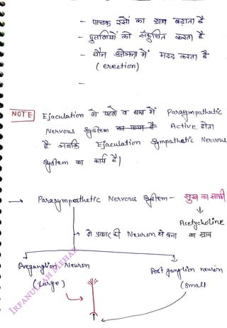 NOTE Etscwlatom E
JR Paay pathtc
<br>
1
<br>
( ereetin)
<br>
Nenvos ytem
<br>
(Lange
<br>
Ejaeulation
<br>
faagympathette Neaveue
<br>
mpathehe Nenvou
<br>
Actycholine
<br>
Pot gungn neuem
<br>
(Snall
<br>
 