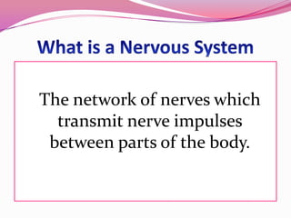 Can you eat honey while pregnant? Safety and what to avoid - Femia