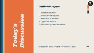 Human Nervous system - Structure and Function of Neuron | PDF