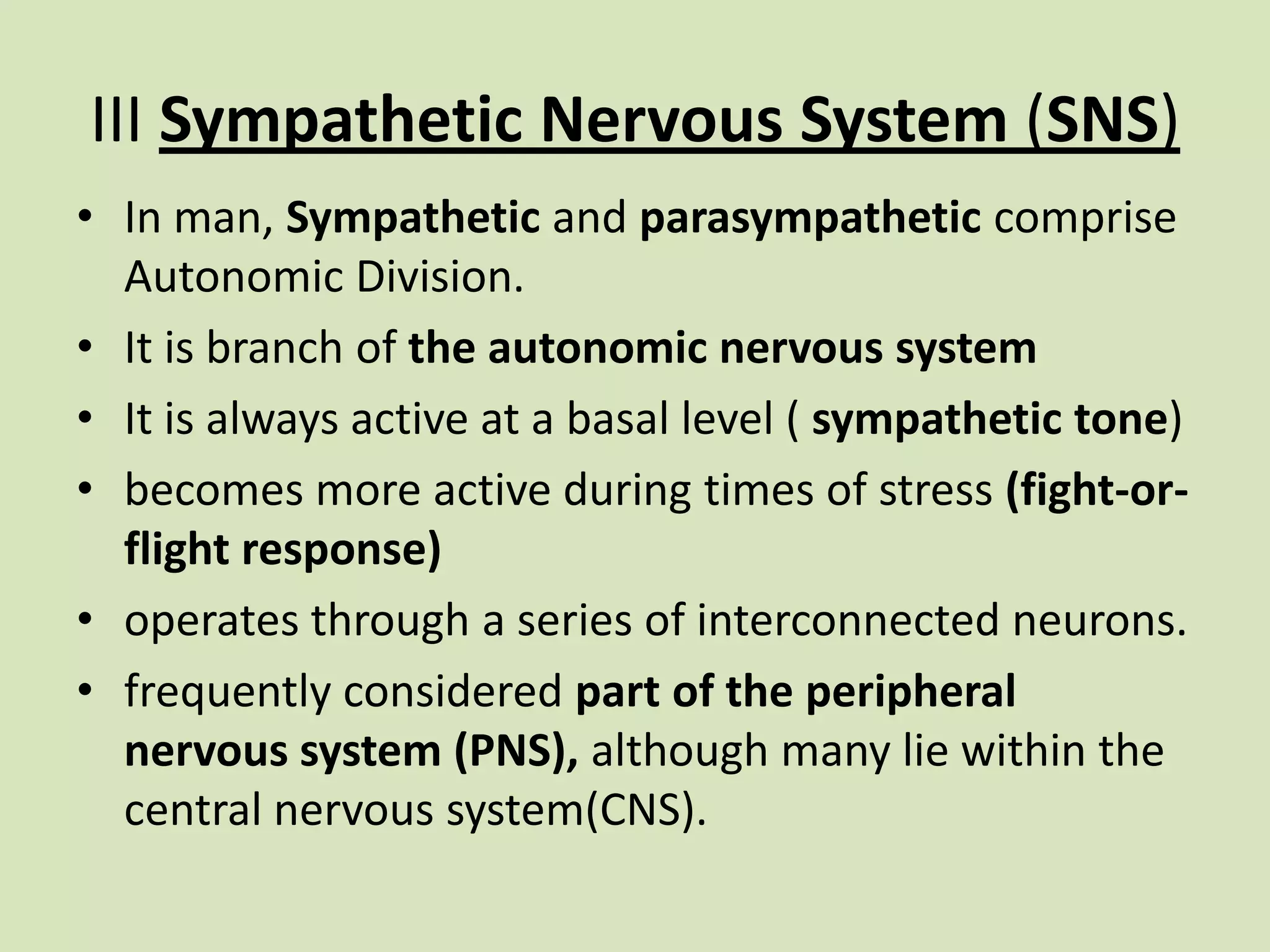 III Sympathetic Nervous System (SNS)In man, Sympathetic and parasympathetic comprise Autonomic Division.It is branch of the autonomic nervous systemIt is always active at a basal level ( sympathetic tone) becomes more active during times of stress (fight-or-flight response)operates through a series of interconnected neurons. frequently considered part of the peripheral nervous system (PNS), although many lie within the central nervous system(CNS).