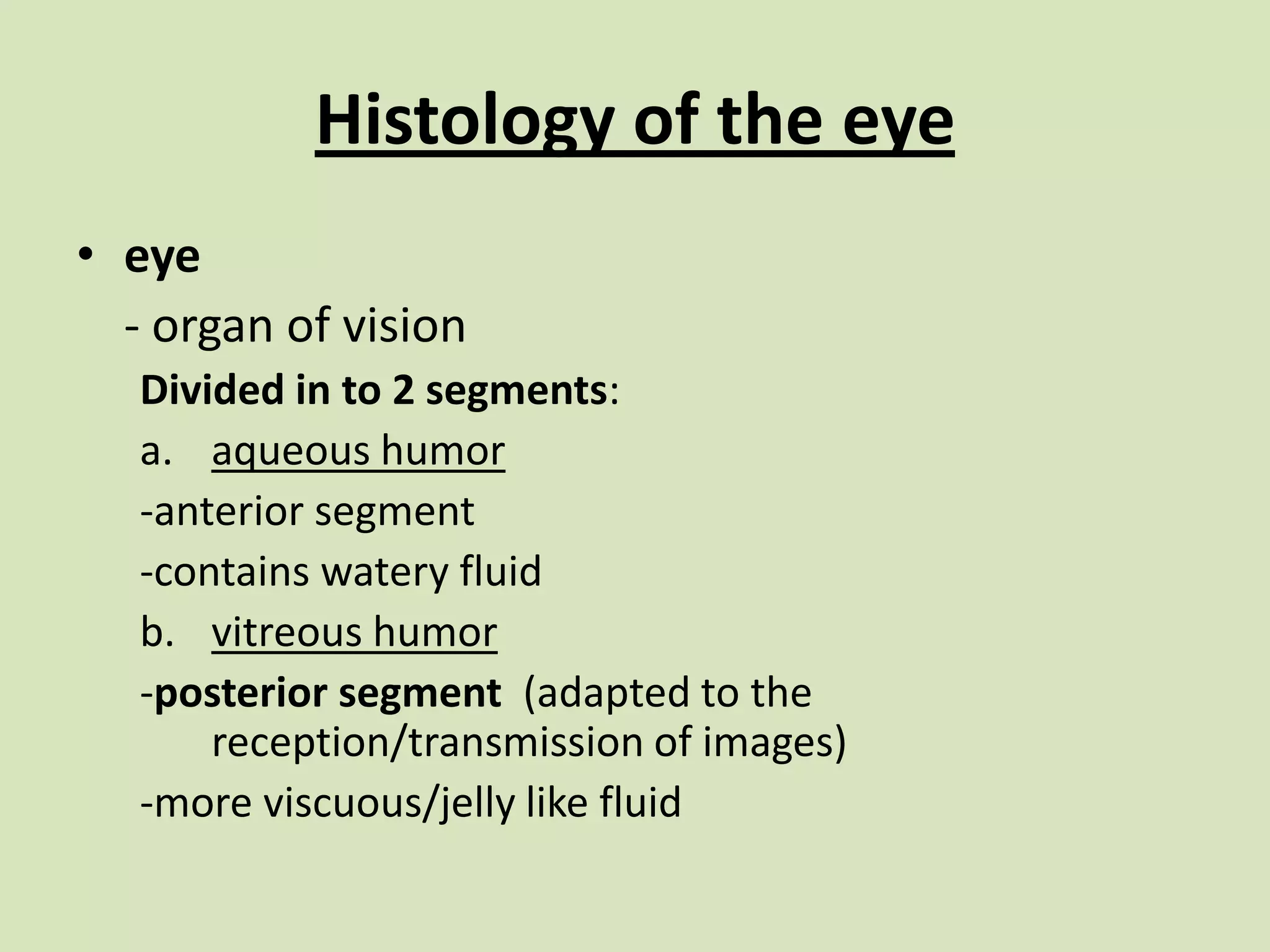 Histology of the eyeeye- organ of visionDivided in to 2 segments:aqueous humor-anterior segment-contains watery fluidvitreous humor-posterior segment  (adapted to the reception/transmission of images)-more viscuous/jelly like fluid