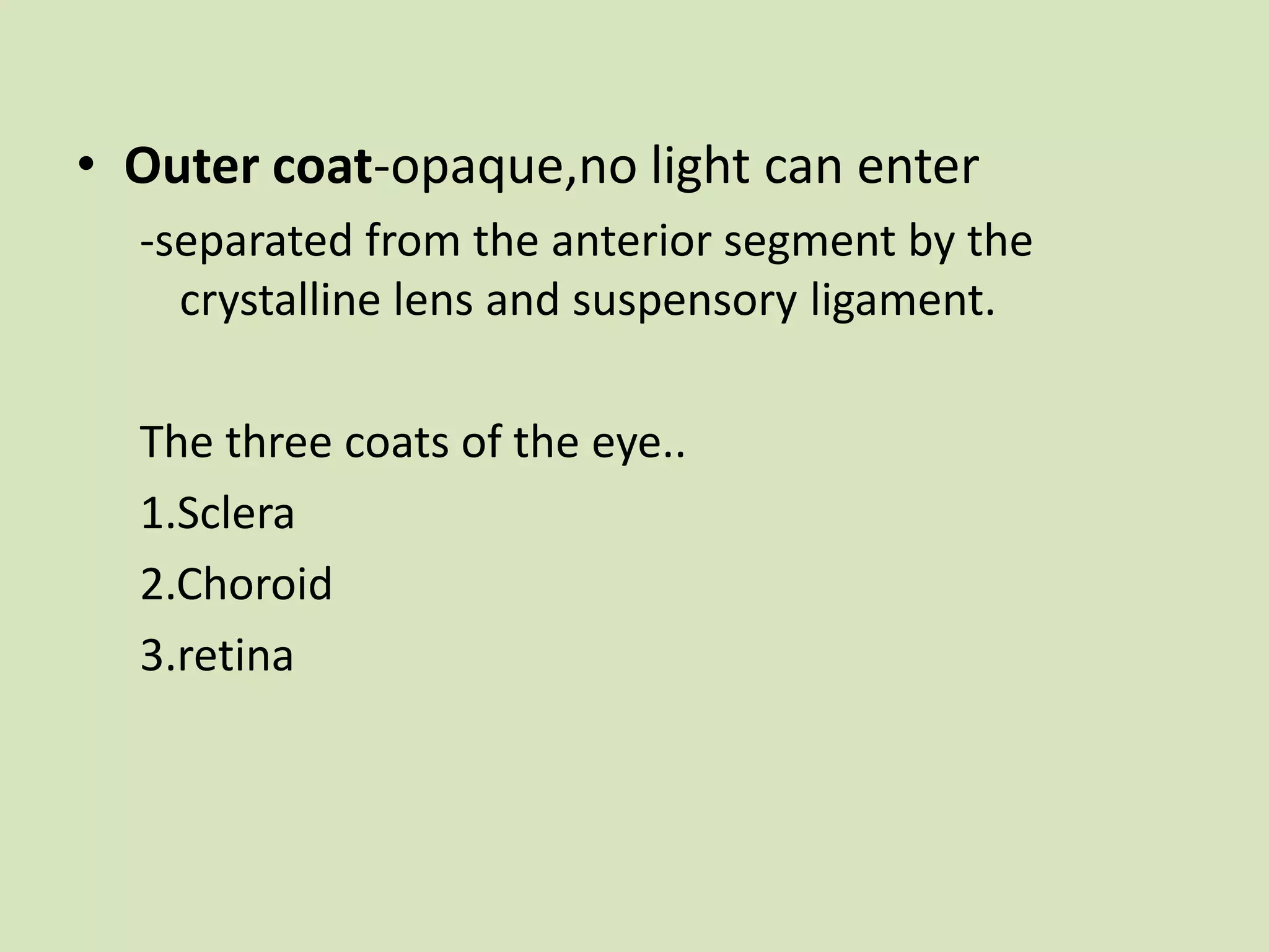 Outer coat-opaque,no light can enter-separated from the anterior segment by the crystalline lens and suspensory ligament.The three coats of the eye..1.Sclera2.Choroid3.retina