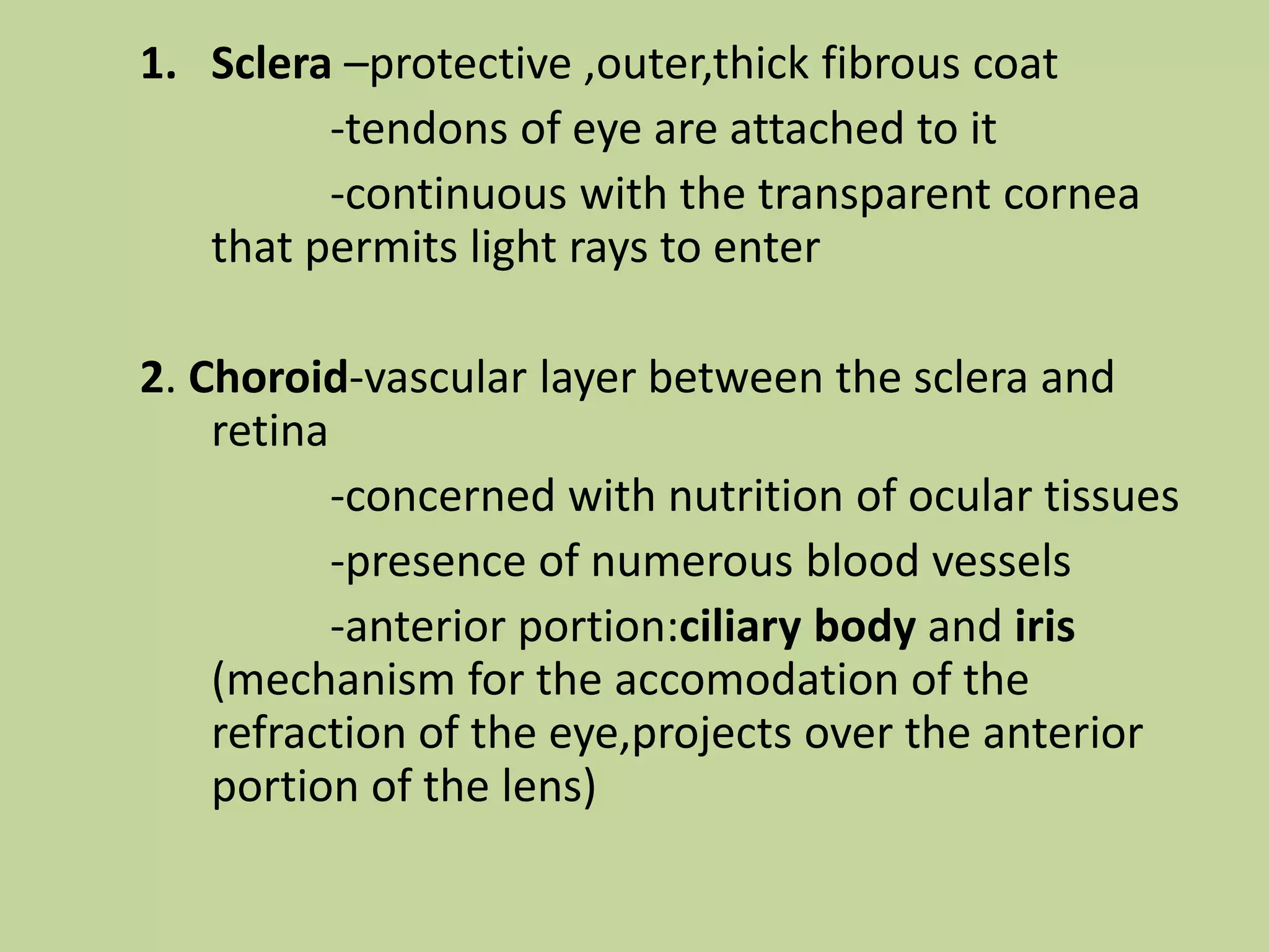 Sclera –protective ,outer,thick fibrous coat		-tendons of eye are attached to it		-continuous with the transparent cornea that permits light rays to enter2. Choroid-vascular layer between the sclera and retina		-concerned with nutrition of ocular tissues		-presence of numerous blood vessels		-anterior portion:ciliary body and iris (mechanism for the accomodation of the refraction of the eye,projects over the anterior portion of the lens)