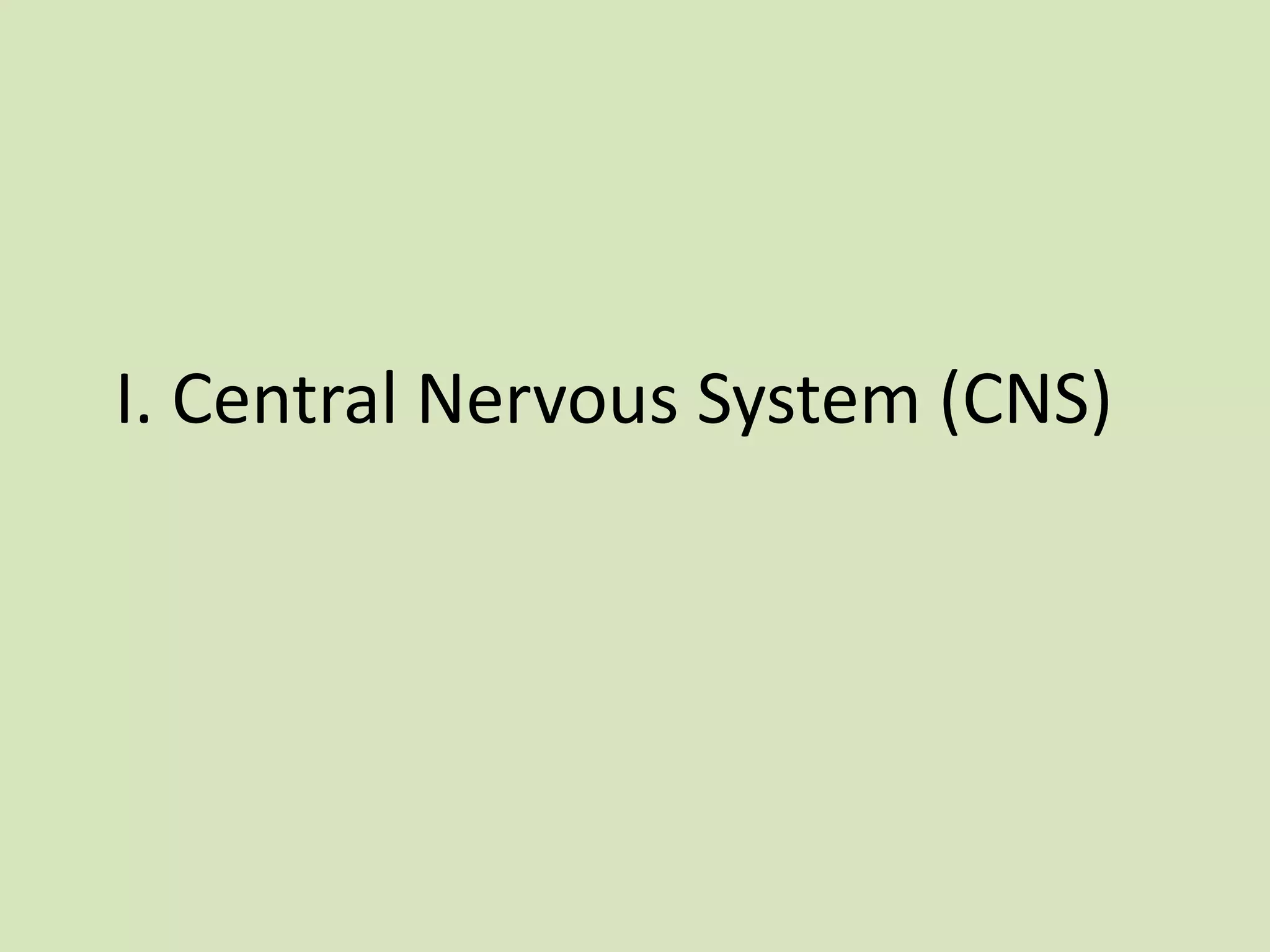 I. Central Nervous System (CNS)