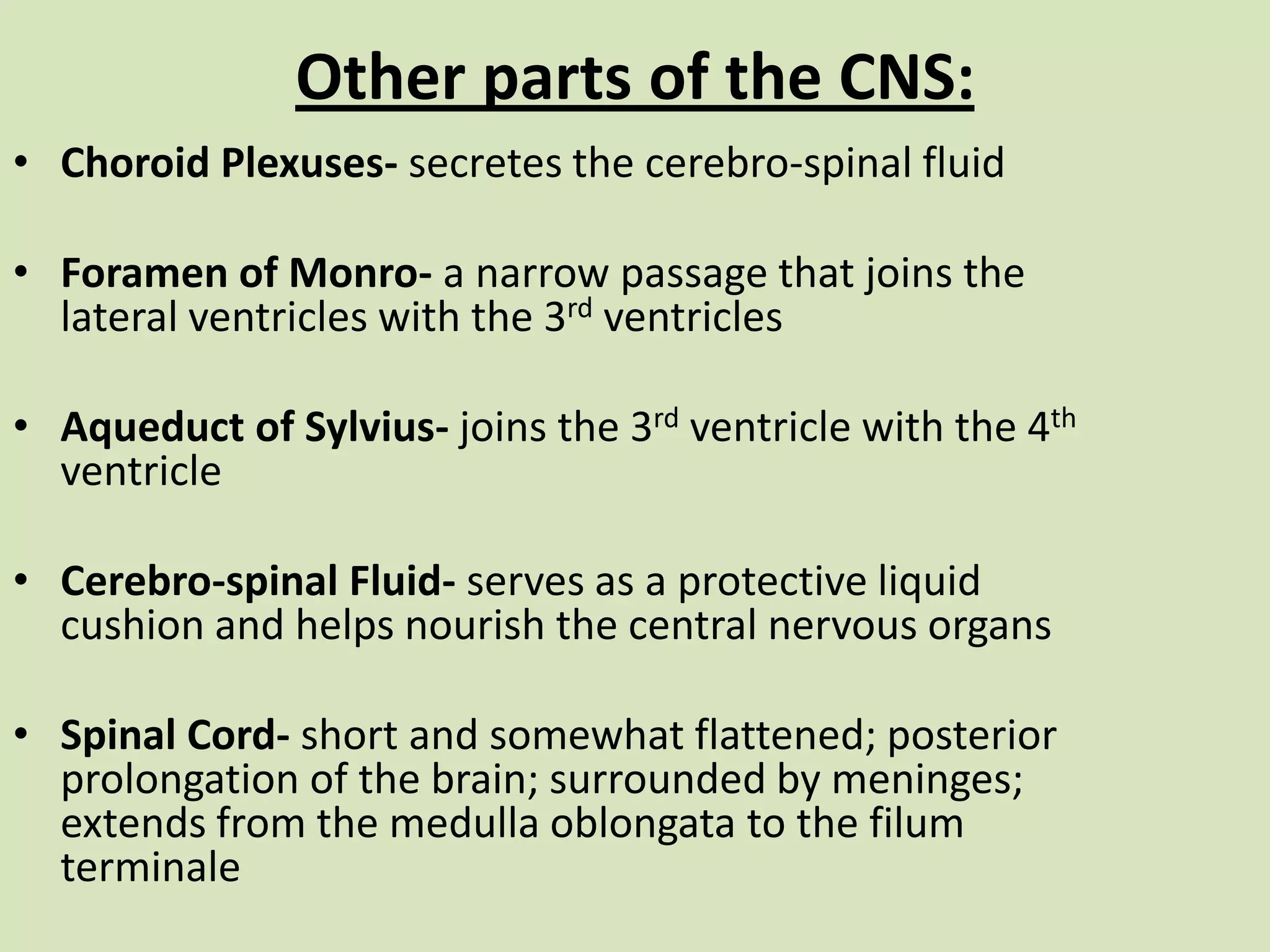 Other parts of the CNS:Choroid Plexuses- secretes the cerebro-spinal fluidForamen of Monro- a narrow passage that joins the lateral ventricles with the 3rd ventriclesAqueduct of Sylvius- joins the 3rd ventricle with the 4th ventricle Cerebro-spinal Fluid- serves as a protective liquid cushion and helps nourish the central nervous organs Spinal Cord- short and somewhat flattened; posterior prolongation of the brain; surrounded by meninges; extends from the medulla oblongata to the filumterminale 