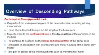 Overview of Descending Pathways
Corticospinal fibers/pyramidal tract:
 Originates from widespread regions of the cerebral cortex, including primary
motor cortex
 These fibers descend through out the length of the brain stem
 Majority cross to the contralateral side in the decussation of the pyramids in the
medulla
 The continue to descend as the lateral corticospinal tract of the spinal cord
 Terminates in association with interneurons and motor neurons of the spinal grey
matter
 Take part in control of the fine movements such as movement of hand
 