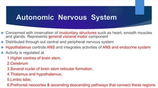 Autonomic Nervous System
 Concerned with innervation of involuntary structures such as heart, smooth muscles
and glands. Represents general visceral motor component
 Distributed through out central and peripheral nervous system
 Hypothalamus controls ANS and integrates activities of ANS and endocrine system
 Activity is regulated at
1.Higher centres of brain stem,
2.Cerebrum
3.Several nuclei of brain stem reticular formation,
4.Thalamus and hypothalamus,
5.Limbic lobe,
6.Prefrontal neocortex & ascending descending pathways that connect these regions
 