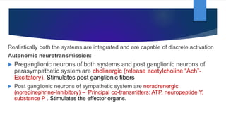 Realistically both the systems are integrated and are capable of discrete activation
Autonomic neurotransmission:
 Preganglionic neurons of both systems and post ganglionic neurons of
parasympathetic system are cholinergic (release acetylcholine “Ach”-
Excitatory). Stimulates post ganglionic fibers
 Post ganglionic neurons of sympathetic system are noradrenergic
(norepinephrine-Inhibitory) – Principal co-transmitters: ATP, neuropeptide Y,
substance P . Stimulates the effector organs.
 