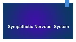 Sympathetic Nervous System
 