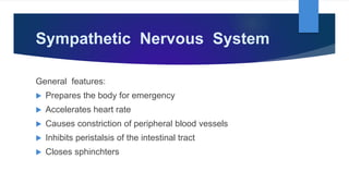 Sympathetic Nervous System
General features:
 Prepares the body for emergency
 Accelerates heart rate
 Causes constriction of peripheral blood vessels
 Inhibits peristalsis of the intestinal tract
 Closes sphinchters
 