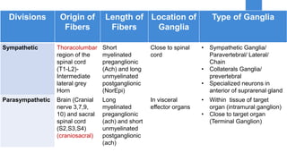 Divisions Origin of
Fibers
Length of
Fibers
Location of
Ganglia
Type of Ganglia
Sympathetic Thoracolumbar
region of the
spinal cord
(T1-L2)-
Intermediate
lateral grey
Horn
Short
myelinated
preganglionic
(Ach) and long
unmyelinated
postganglionic
(NorEpi)
Close to spinal
cord
• Sympathetic Ganglia/
Paravertebral/ Lateral/
Chain
• Collaterals Ganglia/
prevertebral
• Specialized neurons in
anterior of suprarenal gland
Parasympathetic Brain (Cranial
nerve 3,7,9,
10) and sacral
spinal cord
(S2,S3,S4)
(craniosacral)
Long
myelinated
preganglionic
(ach) and short
unmyelinated
postganglionic
(ach)
In visceral
effector organs
• Within tissue of target
organ (intramural ganglion)
• Close to target organ
(Terminal Ganglion)
 