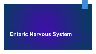 Enteric Nervous System
 