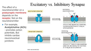 The effect of a
neurotransmitter on a
postsynaptic membrane
depends on the
receptor, Not on the
neurotransmitter
 For example,
Acetylcholine (ACh)
: promotes action
potentials, But
inhibits cardiac
neuromuscluar
junctions
 