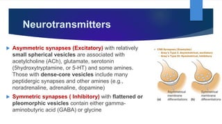 Neurotransmitters
 Asymmetric synapses (Excitatory) with relatively
small spherical vesicles are associated with
acetylcholine (ACh), glutamate, serotonin
(5hydroxytryptamine, or 5-HT) and some amines.
Those with dense-core vesicles include many
peptidergic synapses and other amines (e.g.,
noradrenaline, adrenaline, dopamine)
 Symmetric synapses ( Inhibitory) with flattened or
pleomorphic vesicles contain either gamma-
aminobutyric acid (GABA) or glycine
 