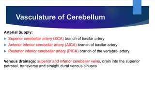 Vasculature of Cerebellum
Arterial Supply:
 Superior cerebellar artery (SCA) branch of basilar artery
 Anterior inferior cerebellar artery (AICA) branch of basilar artery
 Posterior inferior cerebellar artery (PICA) branch of the vertebral artery
Venous drainage: superior and inferior cerebellar veins, drain into the superior
petrosal, transverse and straight dural venous sinuses
 
