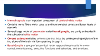  Internal capsule is an important component of cerebral white matter
 Contains nerve fibers which pass to and from cerebral cortex and lower levels of
neuraxis
 Several large nuclei of grey matter called basal ganglia, are partly embedded in
the subcortical white matter
 Corpus callosum midline commissure that links the corresponding regions of the
two sides of the brain via fibers passing through it
 Basal Ganglia is group of subcortical nuclei responsible primarily for motor
control, motor learning, executive functions and behaviors, and emotions.
 