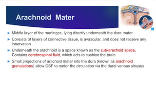 Arachnoid Mater
 Middle layer of the meninges, lying directly underneath the dura mater
 Consists of layers of connective tissue, is avascular, and does not receive any
innervation
 Underneath the arachnoid is a space known as the sub-arachoid space,
Contains cerebrospinal fluid, which acts to cushion the brain
 Small projections of arachoid mater into the dura (known as arachnoid
granulations) allow CSF to renter the circulation via the dural venous sinuses
 