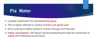 Pia Mater
 Located underneath the sub-arachnoid space
 Thin & tightly adhered to surface of brain and spinal cord
 Only covering to follow contours of brain (the gyri and fissures)
 Highly vascularised, with blood vessels perforating through the membrane to
supply the underlying neural tissue
 