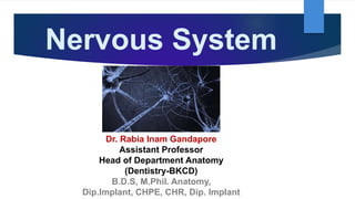 Nervous System
Dr. Rabia Inam Gandapore
Assistant Professor
Head of Department Anatomy
(Dentistry-BKCD)
B.D.S, M.Phil. Anatomy,
Dip.Implant, CHPE, CHR, Dip. Implant
 