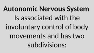 Nervous System Overview.pptx............ | PPTX