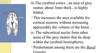 iii.The cerebral cortex , an area of grey
matter, about 3mm thick , is highly
folded.
This increases the area available for
cortical neurons without increasing
appreciably the volume of the brain .
iv. The subcortical nuclei form other
areas of the grey matter that lie deep
within the cerebral hemispheres.
Predominant among them are the Basal
 