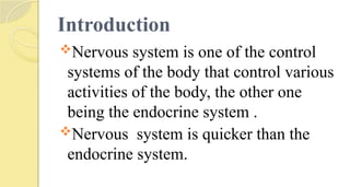 Introduction
Nervous system is one of the control
systems of the body that control various
activities of the body, the other one
being the endocrine system .
Nervous system is quicker than the
endocrine system.
 