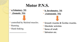 Motor P.N.S.
 a.Voluntary NS
 (Somatic NS)
 controlled by Skeletal muscles.
 Running .
 Hand shaking.
 b. Involunatry NS
 (Autonomic NS)
 Smooth muscles & Cardiac muscles.
 Glandular activities
 Sense of smell.
 Salivation etc.
 