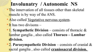 Involunatry / Autonomic NS
The innervation of all tissues other than skeletal
muscle is by way of the ANS.
Also called Vegetative nervous system.
It has two divisons –
1. Sympathetic Division – consists of thoracic &
lumbar ganglia , also called Thoraco – Lumbar
division.
2. Parasympathetic Division – consists of cranial &
sacral ganglia , also called craniosacral division.
 