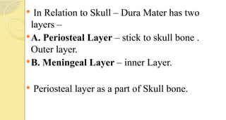  In Relation to Skull – Dura Mater has two
layers –
A. Periosteal Layer – stick to skull bone .
Outer layer.
B. Meningeal Layer – inner Layer.
 Periosteal layer as a part of Skull bone.
 