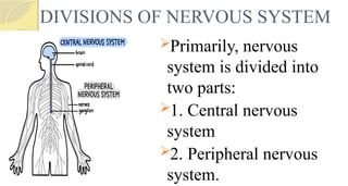 DIVISIONS OF NERVOUS SYSTEM
Primarily, nervous
system is divided into
two parts:
1. Central nervous
system
2. Peripheral nervous
system.
 