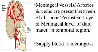Meningeal vessels/ Arteries
& veins are present between
Skull bone/Periosteal Layer
& Meningeal layer of dura
mater in temporal region.
Supply blood to meninges .
 