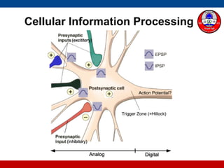 Cellular Information Processing
 