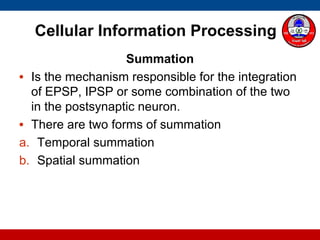 Cellular Information Processing
Summation
• Is the mechanism responsible for the integration
of EPSP, IPSP or some combination of the two
in the postsynaptic neuron.
• There are two forms of summation
a. Temporal summation
b. Spatial summation
 