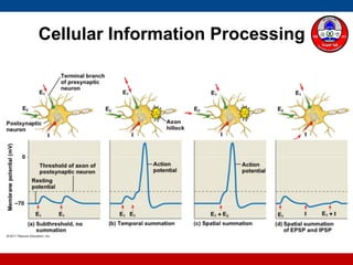 Cellular Information Processing
 