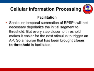 Cellular Information Processing
Facilitation
• Spatial or temporal summation of EPSPs will not
necessary depolarize the initial segment to
threshold. But every step closer to threshold
makes it easier for the next stimulus to trigger an
AP. So a neuron that has been brought closer
to threshold is facilitated.
 