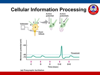 Cellular Information Processing
 