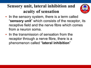 Sensory unit, lateral inhibition and
acuity of sensation
• In the sensory system, there is a term called
“sensory unit” which consists of the receptor, its
receptive field and the nerve fibre which comes
from a neuron soma.
• In the transmission of sensation from the
receptor through a nerve fibre, there is a
phenomenon called “lateral inhibition”
 