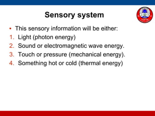 Sensory system
• This sensory information will be either:
1. Light (photon energy)
2. Sound or electromagnetic wave energy.
3. Touch or pressure (mechanical energy).
4. Something hot or cold (thermal energy)
 