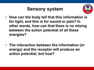 Sensory system
• How can the body tell that this information is
for light, and this is for sound or pain? In
other words, how can that there is no mixing
between the action potential of all these
energies?
• The interaction between the information (or
energy) and the receptor will produce an
action potential, but how?
 