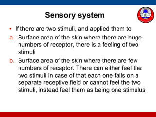Sensory system
• If there are two stimuli, and applied them to
a. Surface area of the skin where there are huge
numbers of receptor, there is a feeling of two
stimuli
b. Surface area of the skin where there are few
numbers of receptor. There can either feel the
two stimuli in case of that each one falls on a
separate receptive field or cannot feel the two
stimuli, instead feel them as being one stimulus
 