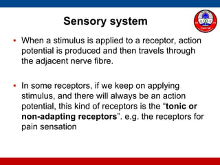Sensory system
• When a stimulus is applied to a receptor, action
potential is produced and then travels through
the adjacent nerve fibre.
• In some receptors, if we keep on applying
stimulus, and there will always be an action
potential, this kind of receptors is the “tonic or
non-adapting receptors”. e.g. the receptors for
pain sensation
 