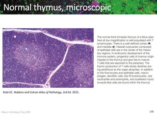 Marc Imhotep Cray MD 170
Normal thymus, microscopic
Klatt EC. Robbins and Cotran Atlas of Pathology, 3rd Ed. 2015.
 