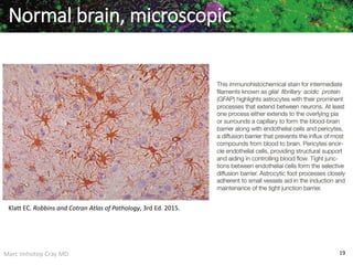Marc Imhotep Cray MD 19
Normal brain, microscopic
Klatt EC. Robbins and Cotran Atlas of Pathology, 3rd Ed. 2015.
 