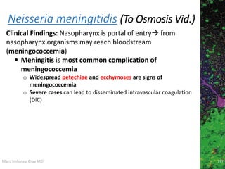 Marc Imhotep Cray MD
Neisseria meningitidis (To Osmosis Vid.)
197
Clinical Findings: Nasopharynx is portal of entry from
nasopharynx organisms may reach bloodstream
(meningococcemia)
 Meningitis is most common complication of
meningococcemia
o Widespread petechiae and ecchymoses are signs of
meningococcemia
o Severe cases can lead to disseminated intravascular coagulation
(DIC)
 