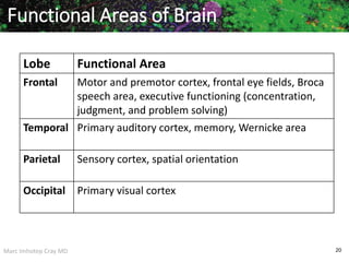 Marc Imhotep Cray MD 20
Functional Areas of Brain
Lobe Functional Area
Frontal Motor and premotor cortex, frontal eye fields, Broca
speech area, executive functioning (concentration,
judgment, and problem solving)
Temporal Primary auditory cortex, memory, Wernicke area
Parietal Sensory cortex, spatial orientation
Occipital Primary visual cortex
 
