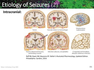 Marc Imhotep Cray MD 211
Etiology of Seizures (2)
Intracranial:
Raff RB, Rawls SM, Beyzarov EP. Netter's Illustrated Pharmacology, Updated Edition.
Philadelphia: Sanders, 2014.
 