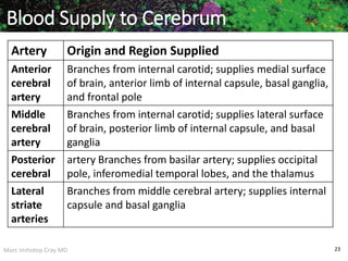 Marc Imhotep Cray MD 23
Blood Supply to Cerebrum
Artery Origin and Region Supplied
Anterior
cerebral
artery
Branches from internal carotid; supplies medial surface
of brain, anterior limb of internal capsule, basal ganglia,
and frontal pole
Middle
cerebral
artery
Branches from internal carotid; supplies lateral surface
of brain, posterior limb of internal capsule, and basal
ganglia
Posterior
cerebral
artery Branches from basilar artery; supplies occipital
pole, inferomedial temporal lobes, and the thalamus
Lateral
striate
arteries
Branches from middle cerebral artery; supplies internal
capsule and basal ganglia
 
