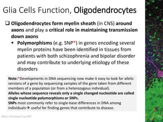 Marc Imhotep Cray MD
Glia Cells Function, Oligodendrocytes
233
 Oligodendrocytes form myelin sheath (in CNS) around
axons and play a critical role in maintaining transmission
down axons
 Polymorphisms (e.g. SNP*) in genes encoding several
myelin proteins have been identified in tissues from
patients with both schizophrenia and bipolar disorder
and may contribute to underlying etiology of these
disorders
Note:*Developments in DNA sequencing now make it easy to look for allelic
versions of a gene by sequencing samples of the gene taken from different
members of a population (or from a heterozygous individual).
Alleles whose sequence reveals only a single changed nucleotide are called
single nucleotide polymorphisms or SNPs.
SNPs most commonly refer to single-base differences in DNA among
individuals useful for finding genes that contribute to disease.
 